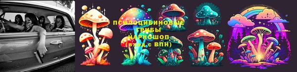 гидропоника Абдулино