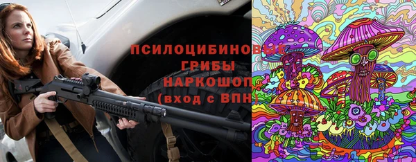 spice Абаза